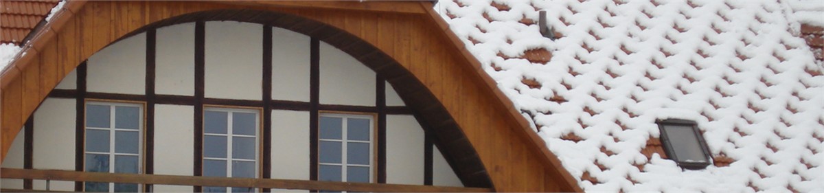 Schneefang Schneetiger